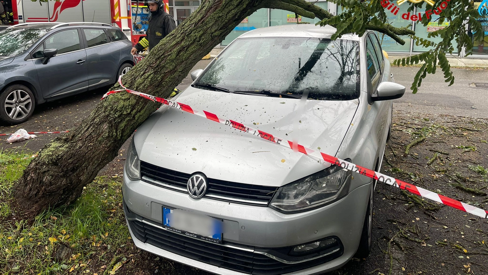 L'albero precipitato su una vettura in piazzale Polenghi Lombardo, a Codogno