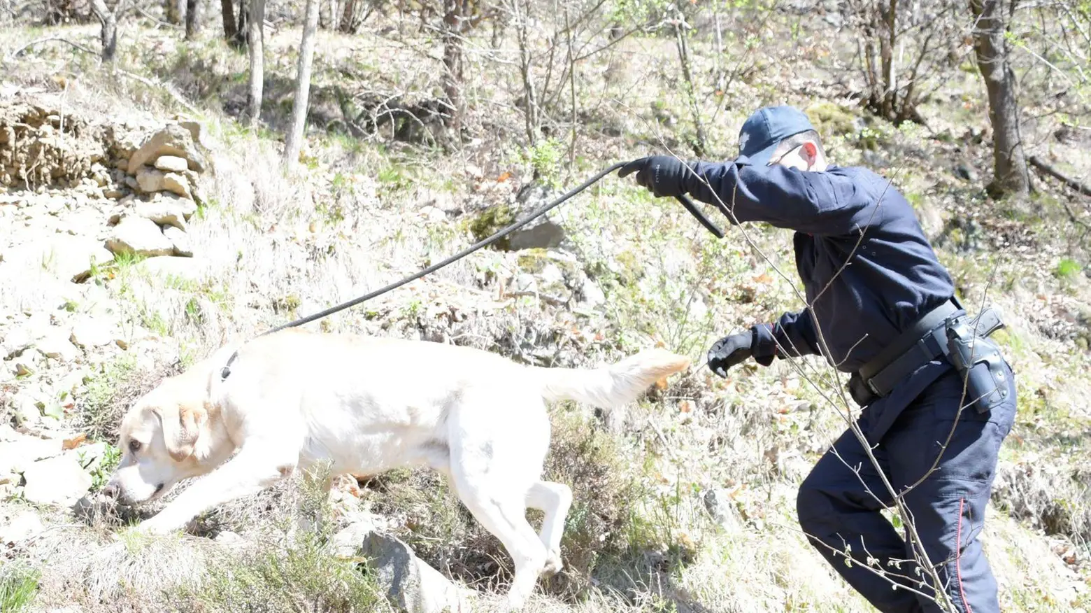 Controlli in Valle Sedici segnalati e via nove patenti Controlli in Valle Sedici segnalati e via nove patenti