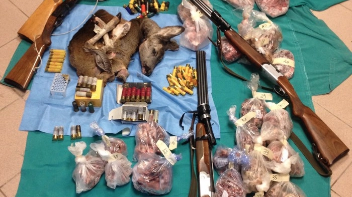 Armi, proiettili e "trofei di caccia" sequestrati