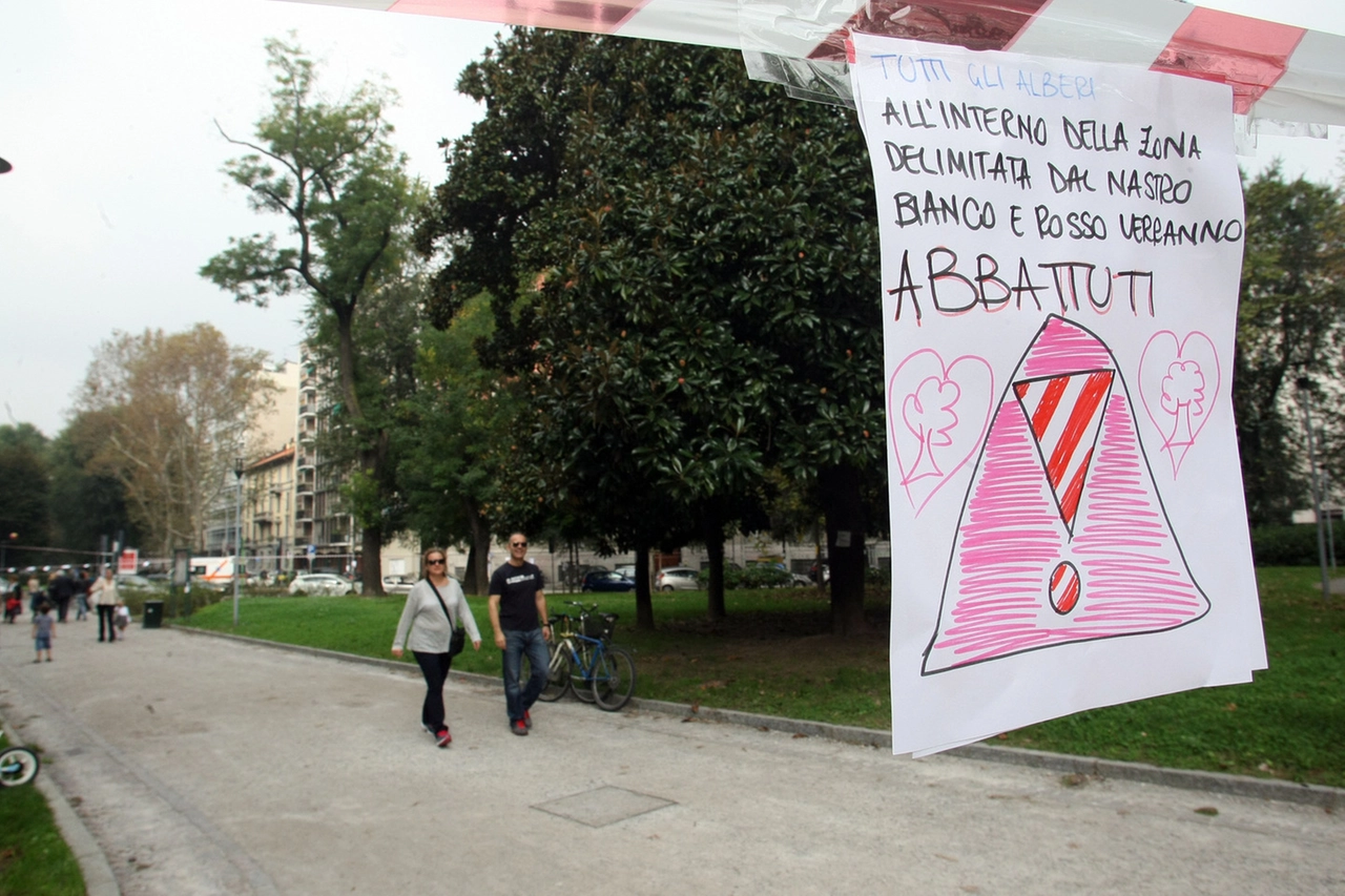 immagine di sfondo 18