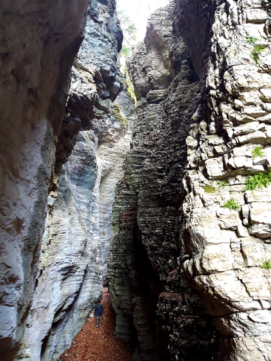 immagine di sfondo 25