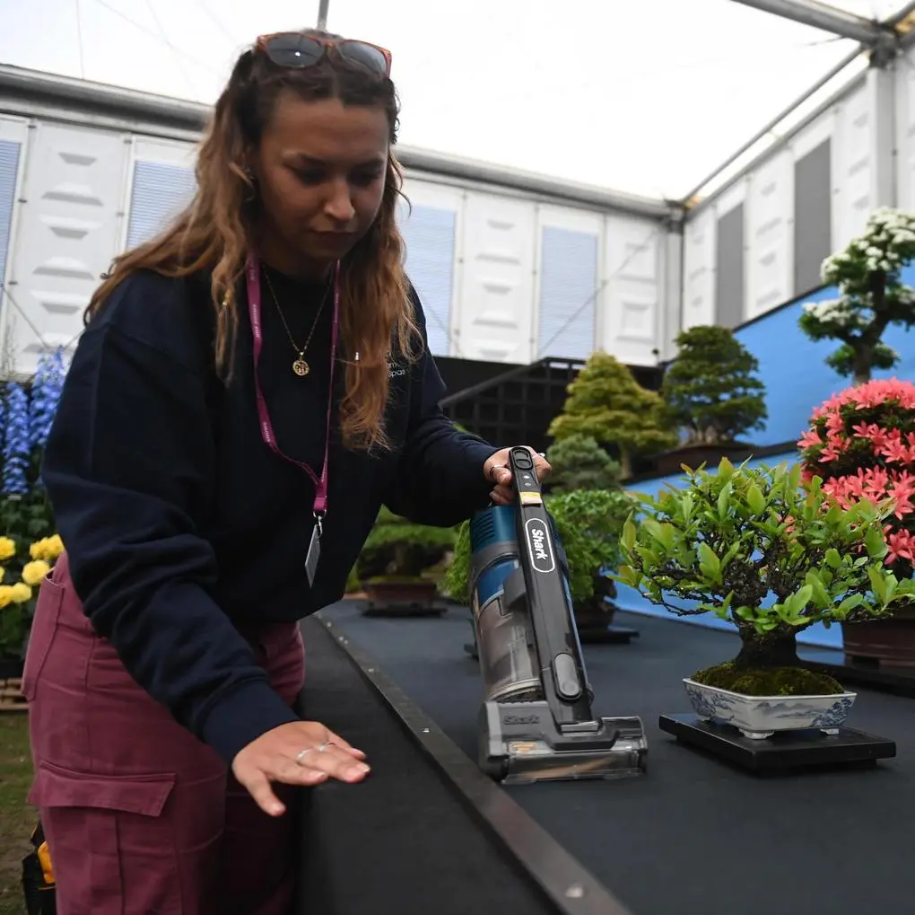 Tre giorni dedicati all’arte del bonsai e alla cultura nipponica