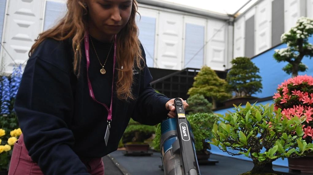 Tre giorni dedicati  all’arte del bonsai  e alla cultura nipponica