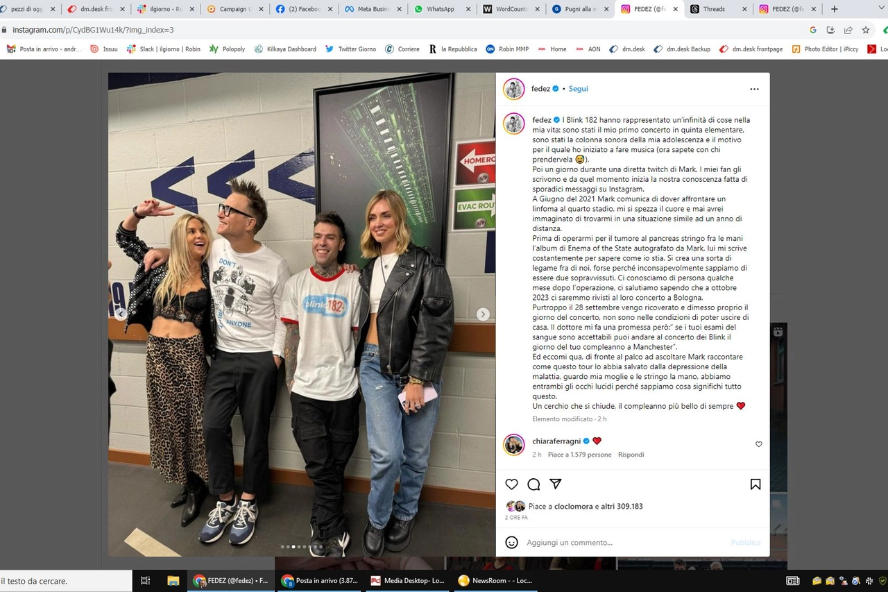 Una delle foto postate su Instagram da Fedez con la moglie Chiara Ferragni al concerto dei Blink 182