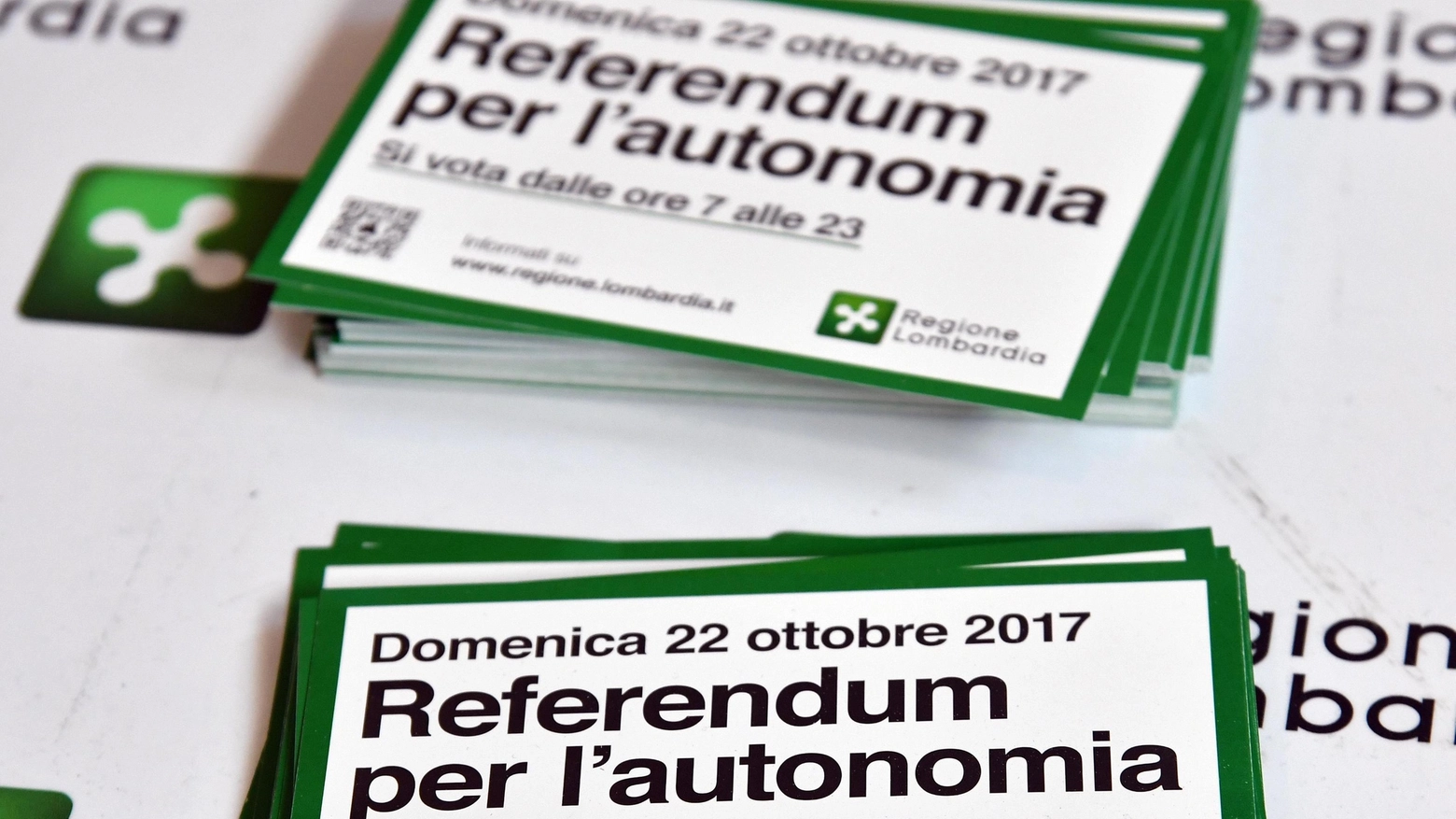 Volantini e cartelloni informativi sul referendum consultivo (Ansa)
