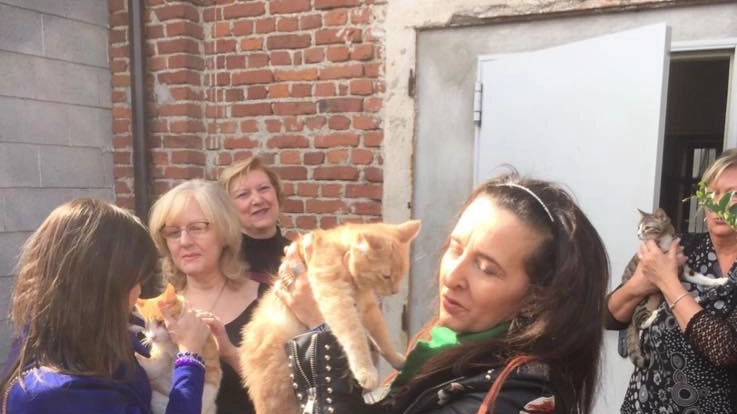 l'incontro con le volontarie del gattile di Vigevano