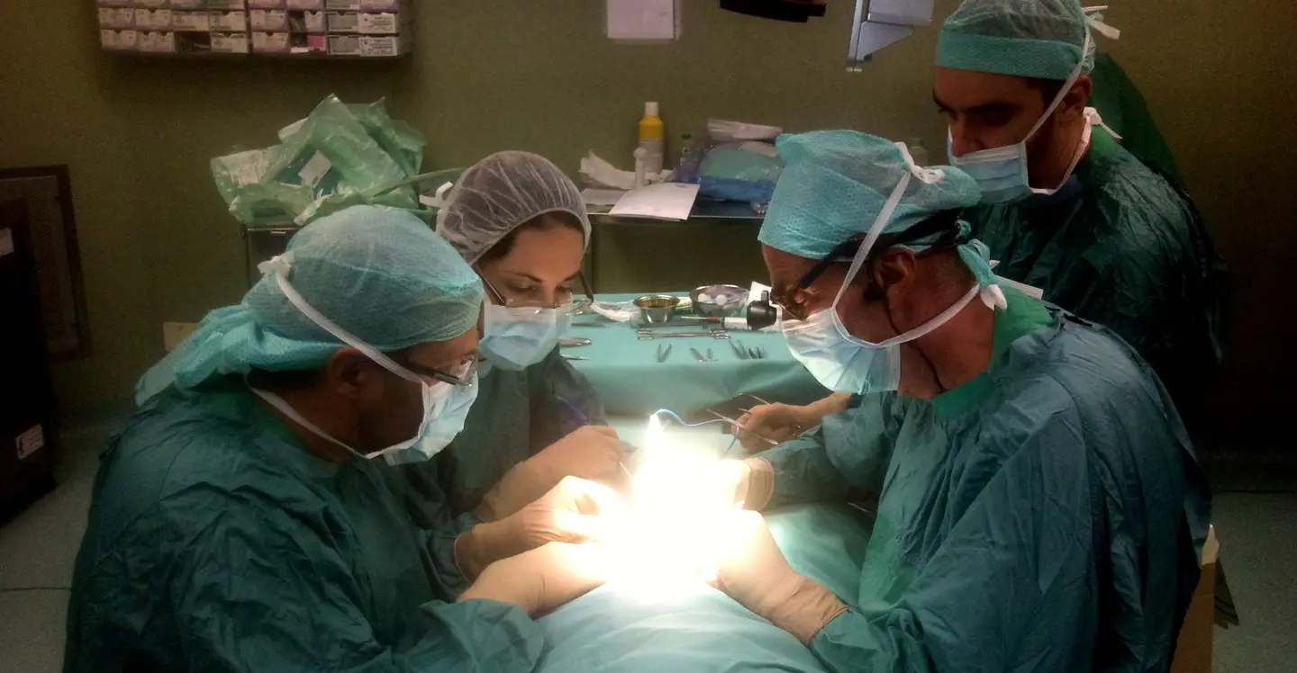 Pavia, al San Matteo successo per il terzo trapianto di rene da donatore incompatibile