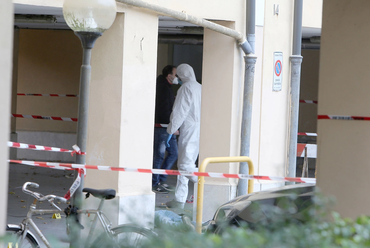immagine di sfondo 6