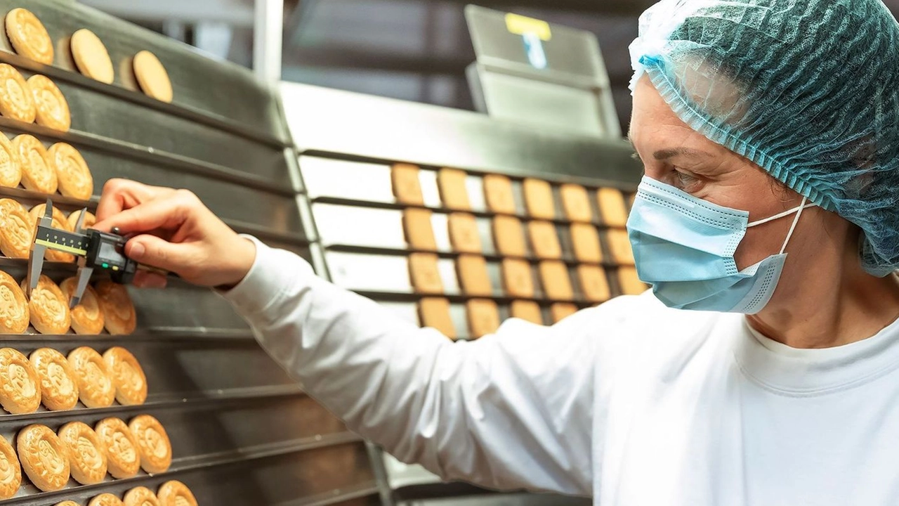 Castiglione delle Stiviere: Barilla mette il turbo. Due nuove linee per confezionare biscotti e snack