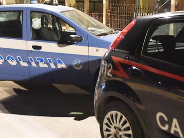 immagine articolo