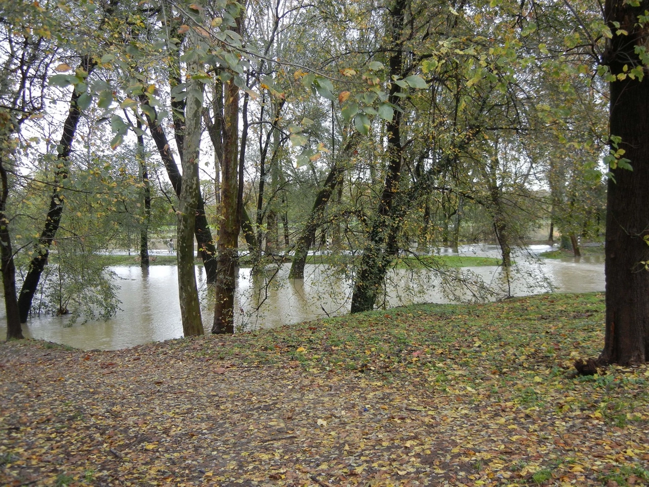 immagine di sfondo 28
