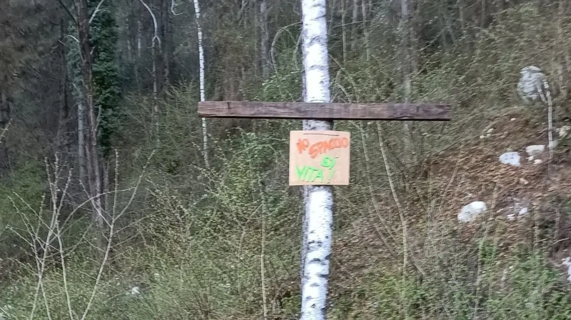 La croce piantata nei boschi della droga La croce piantata nei boschi della droga