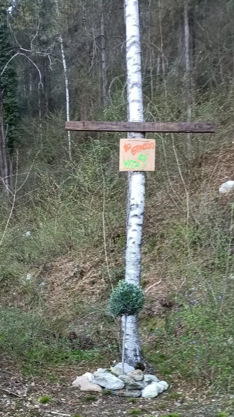 La croce piantata nei boschi della droga