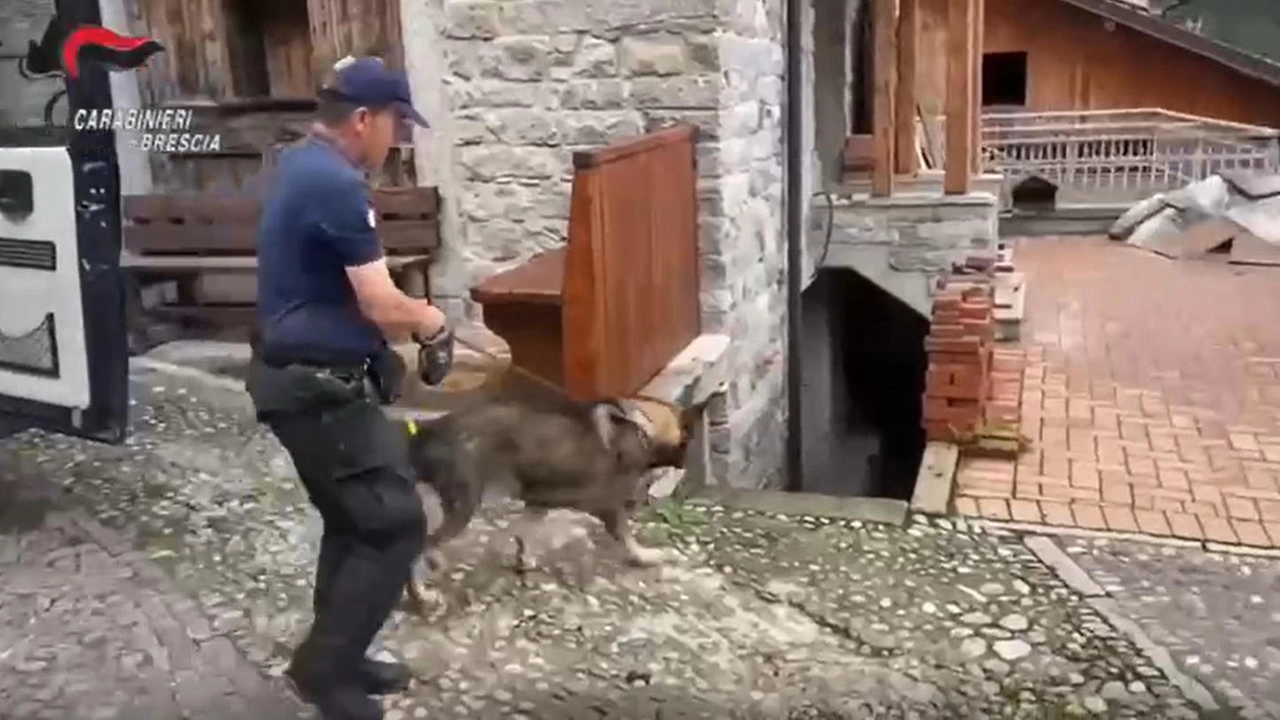 immagine di sfondo 7