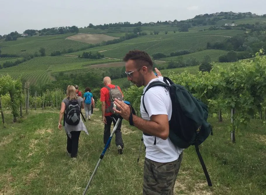 “Oltrepo Pavese“: in un’app il turismo post pandemia