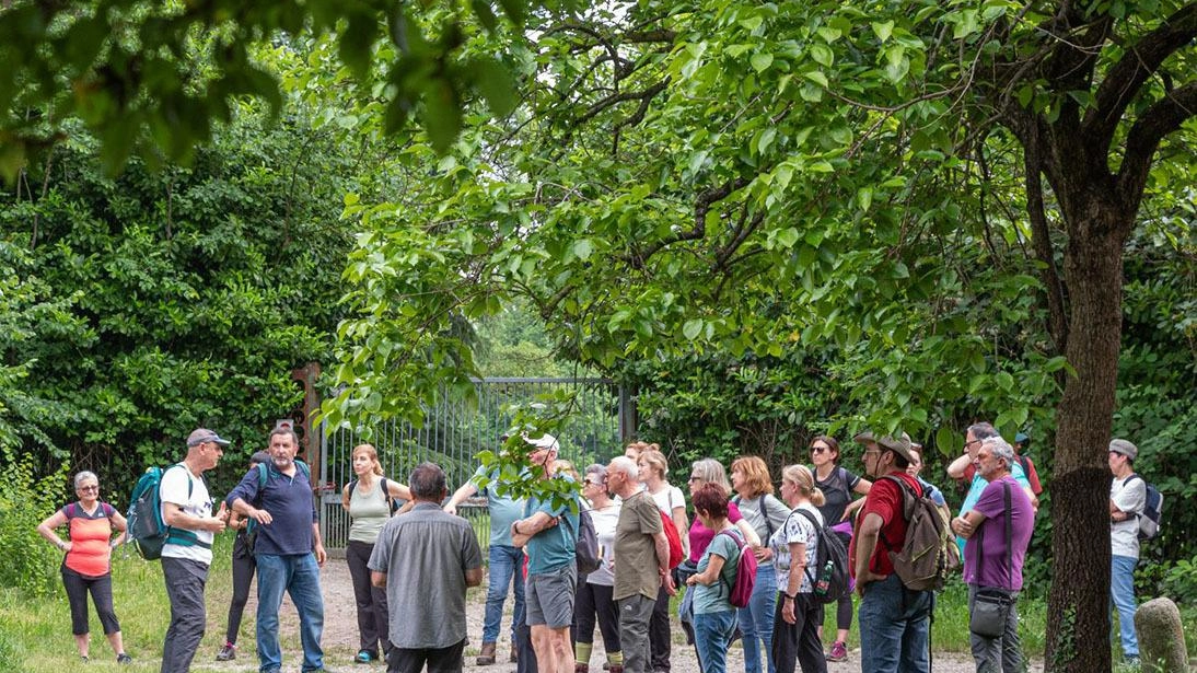 Comitato Groane-Brughiera  Quarant’anni per il verde