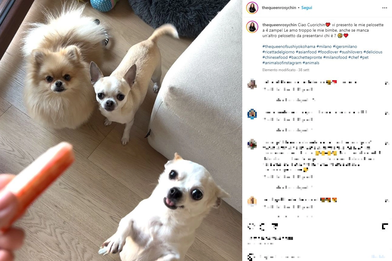 I quattrozampe di Rosy Chin (Foto Instagram)