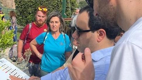 

Camminare in gruppo a Olgiate Comasco: addio alla sedentarietà