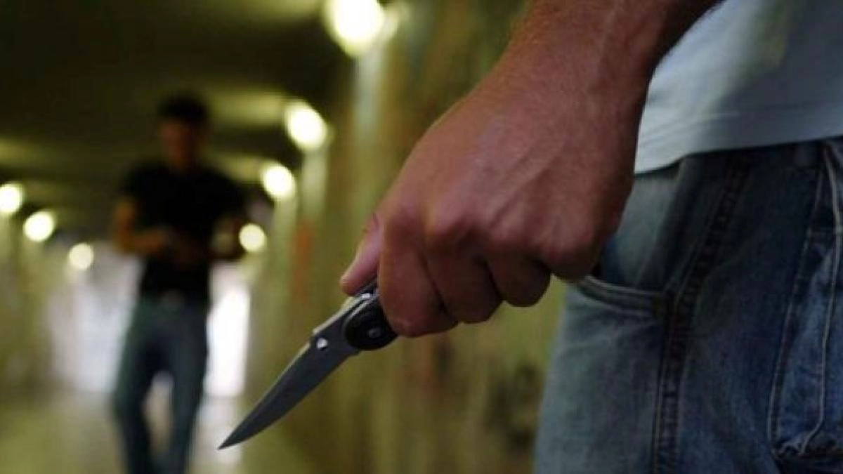 Il giovane è ricoverato al Niguarda con due ferite al petto e alla mano destra Il giovane è ricoverato al Niguarda con due ferite al petto e alla mano destra