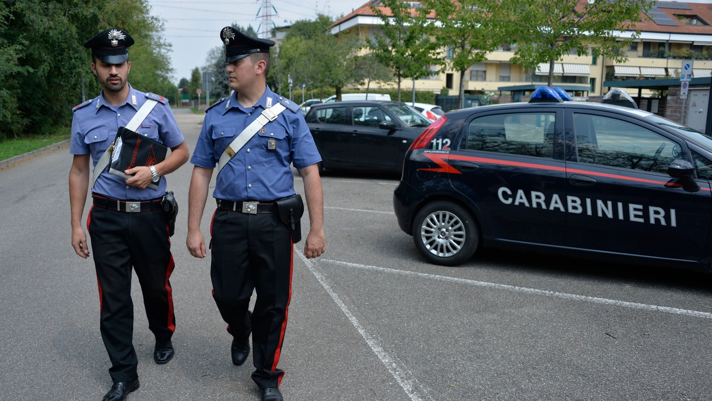 Ladri bloccati dai carabinieri