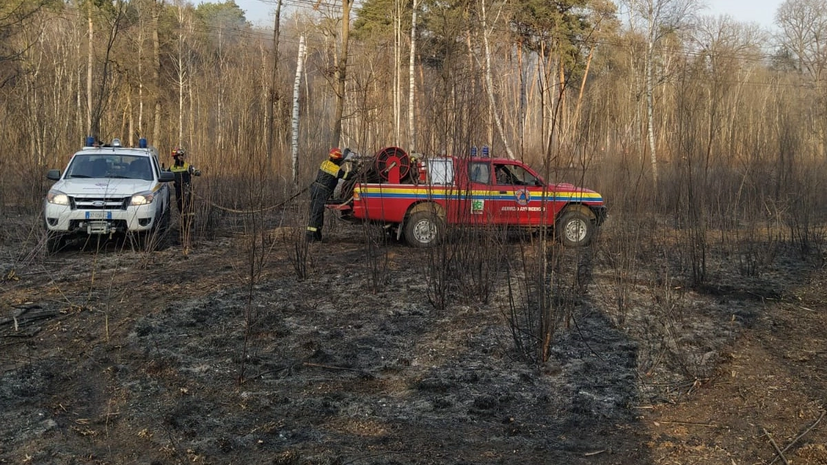 L'intervento dei volontari per l'incendio nel Parco delle Groane