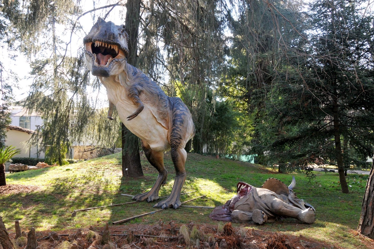 Dinosauro