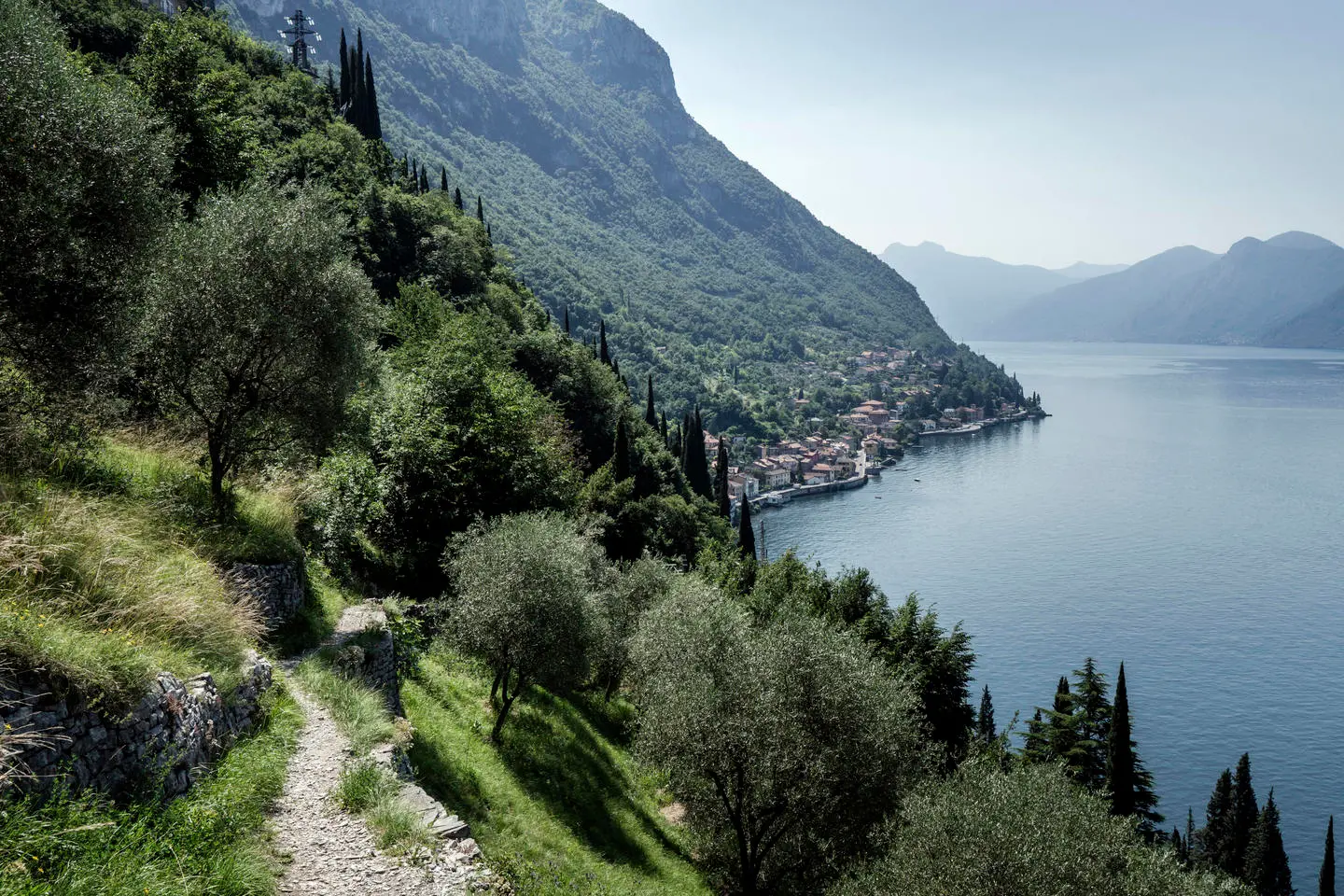 immagine di sfondo 4