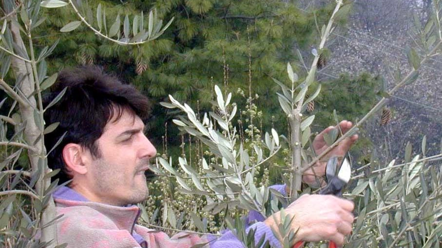 Giornate Fai Si parla di olivi e alpinismo Giornate Fai Si parla di olivi e alpinismo