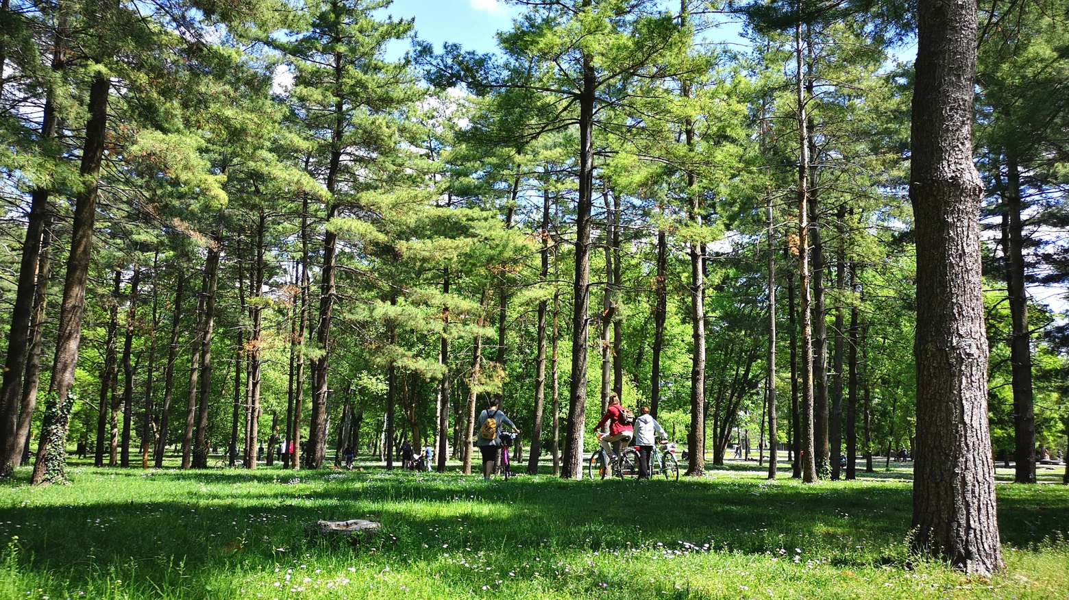 Il parco del Castello di Legnano