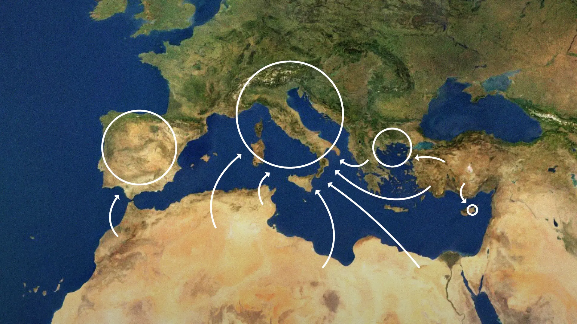 Migranti in Italia: i numeri, il ruolo delle Ong e il ricollocamento in Europa