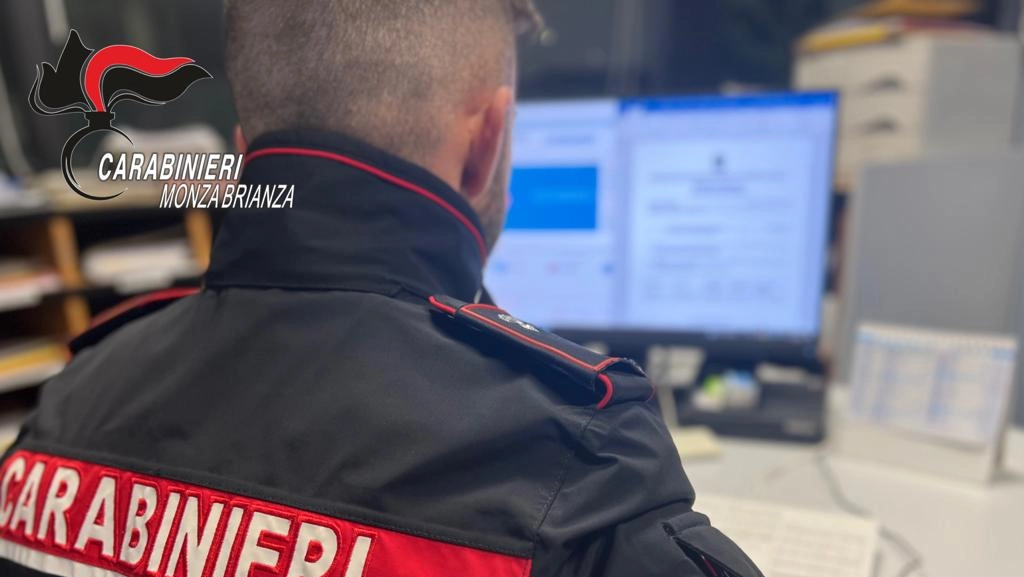 I carabinieri hanno stroncato un'esperta di frodi informatiche