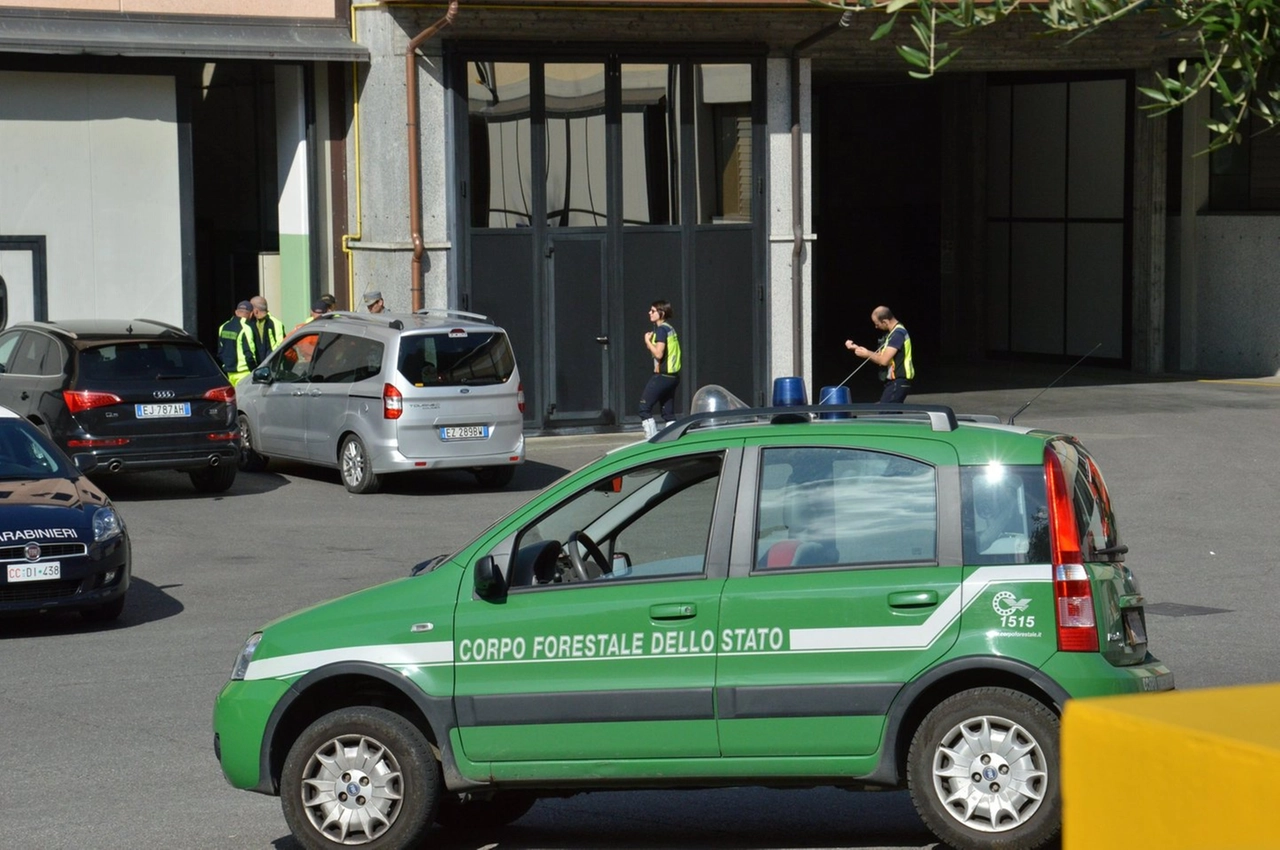 immagine di sfondo 5