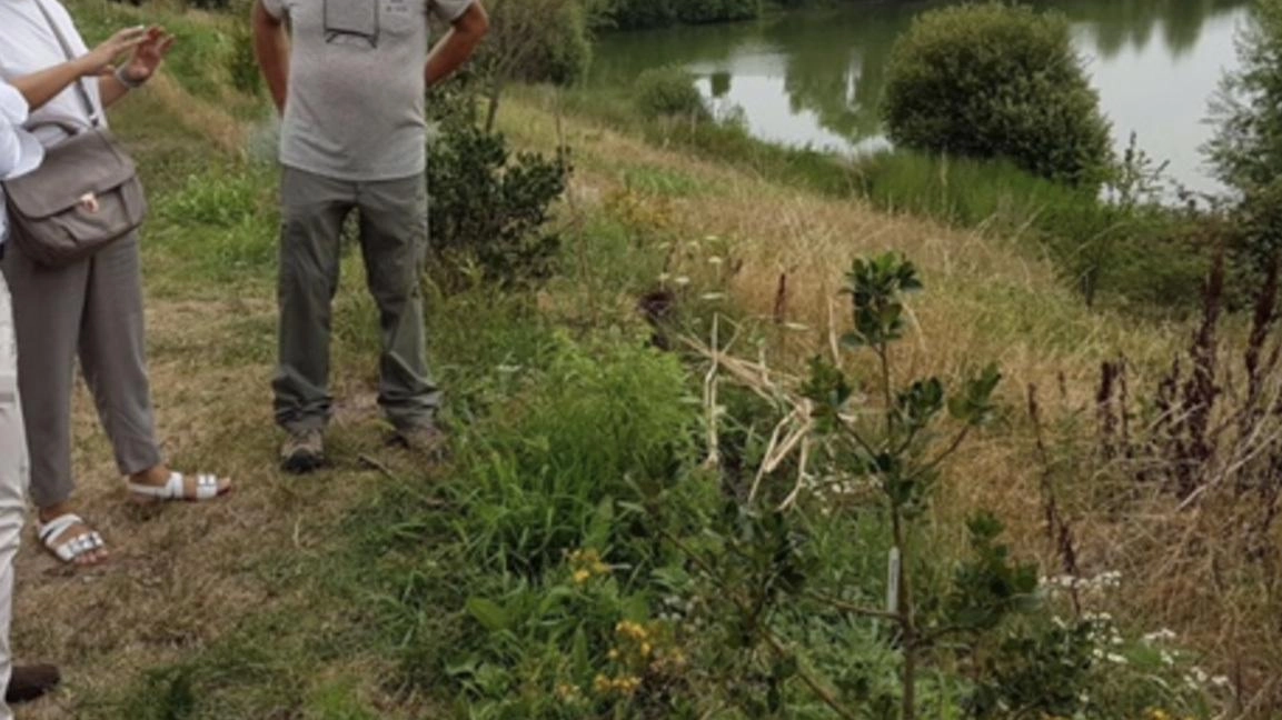 Alla scoperta dell’oasi naturalistica con l’albero di Hiroshima Alla scoperta dell’oasi naturalistica con l’albero di Hiroshima