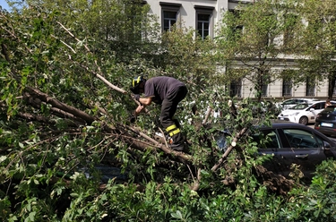 Maltempo a Milano, la strage dei 400 alberi: arriva l’esercito per liberare le strade