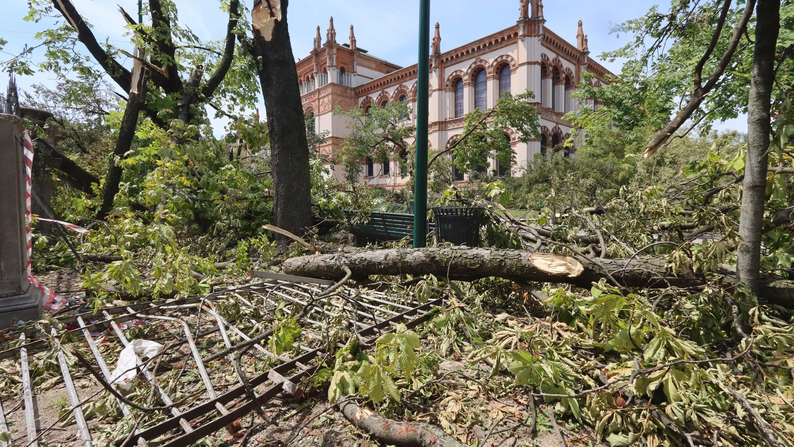 Alberi caduti per il maltempo a Milano