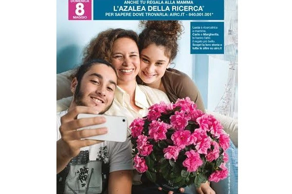 1) Airc e l'azalea della Ricerca