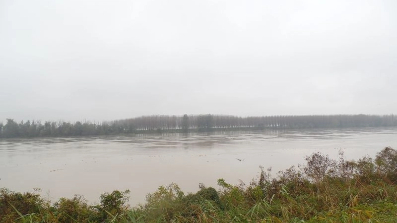 Sale il livello del fiume Po (foto di archivio)