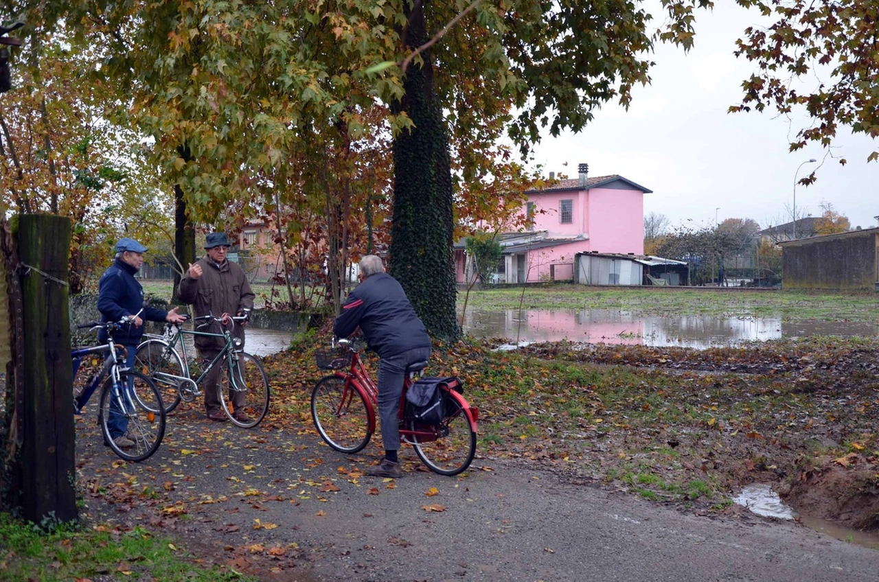 immagine di sfondo 8