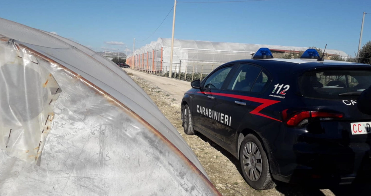 immagine di sfondo 5