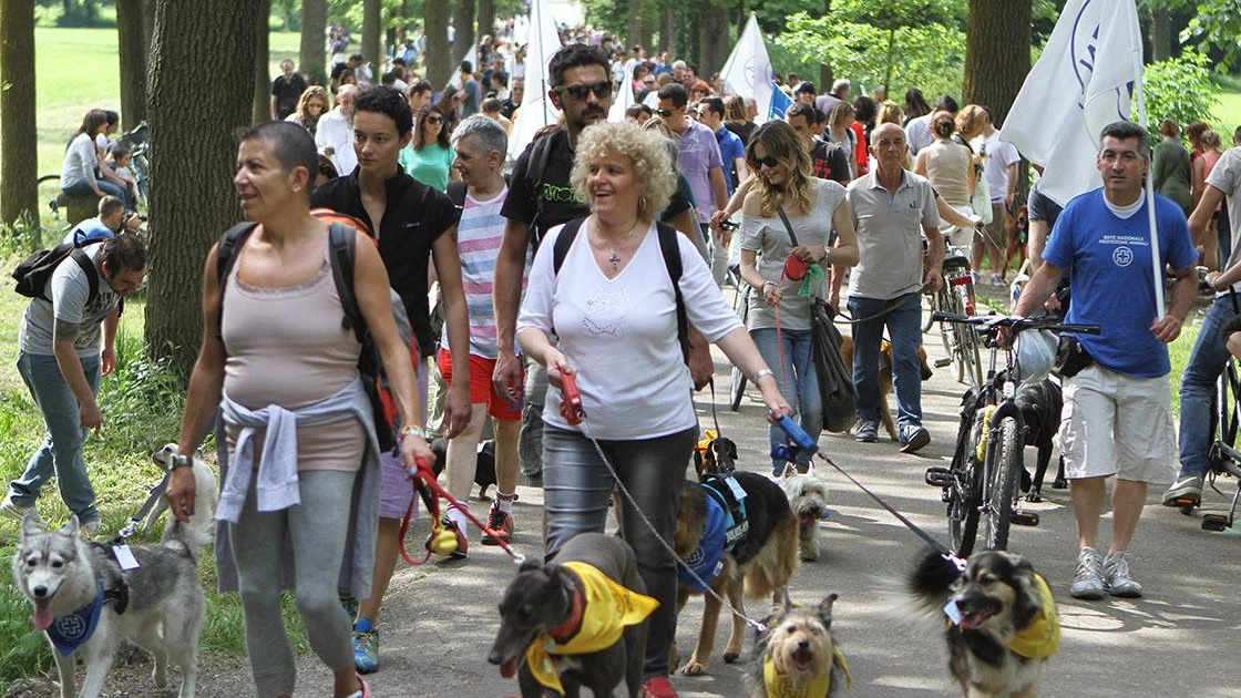 Cani in marcia contro gli abbandoni  Passeggiata, merenda e agility dog  Torna la manifestazione dell’Enpa