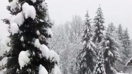Neve nella Bergamasca (Frame video Twitter)