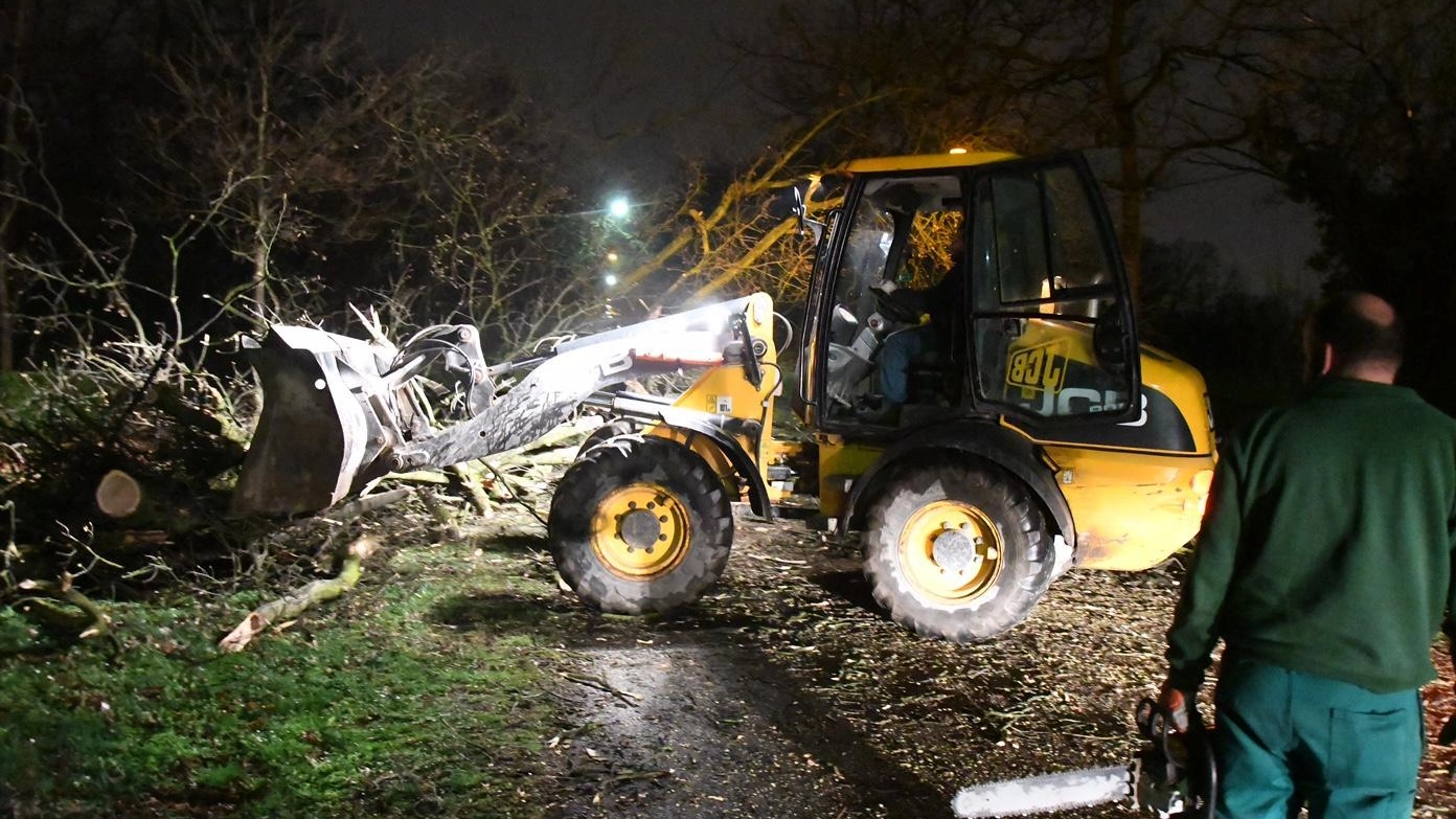 Un mezzo al lavoro per rimuovere un albero secolare crollato nel Parco 