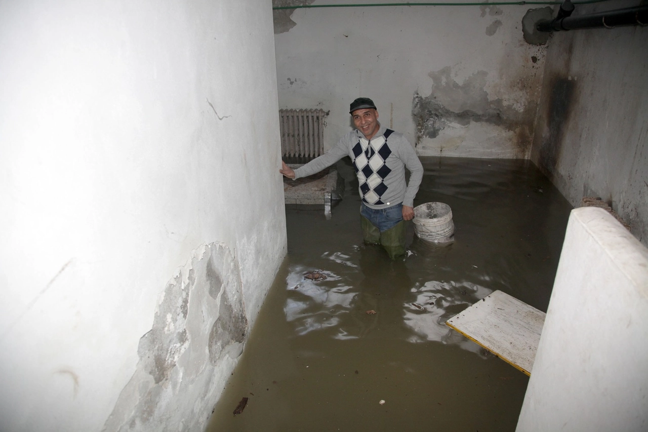immagine di sfondo 8