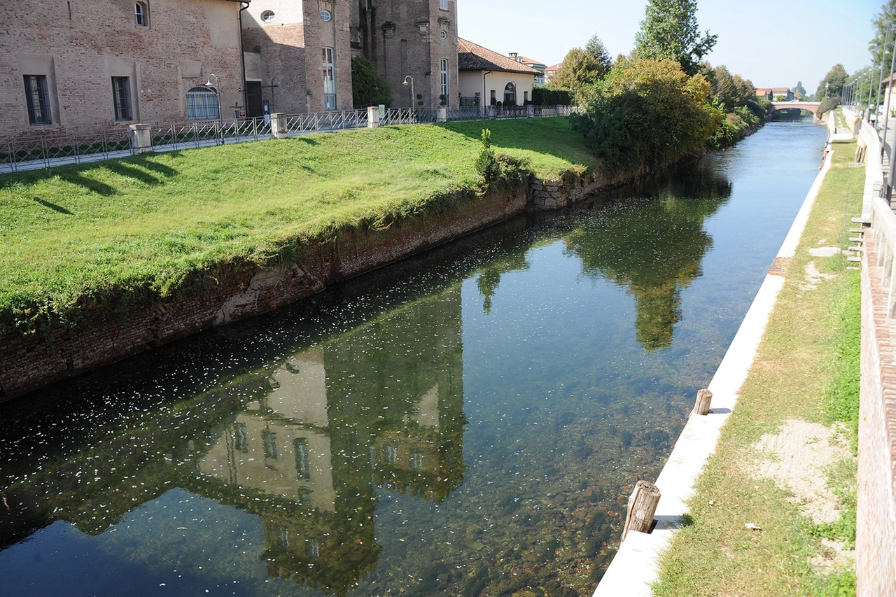 Inquinamento nel Naviglio Grande