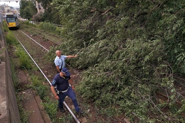 Ferrovia, ripresa la circolazione a Pavia sulla linea Milano – Genova: ritardi e cancellazioni