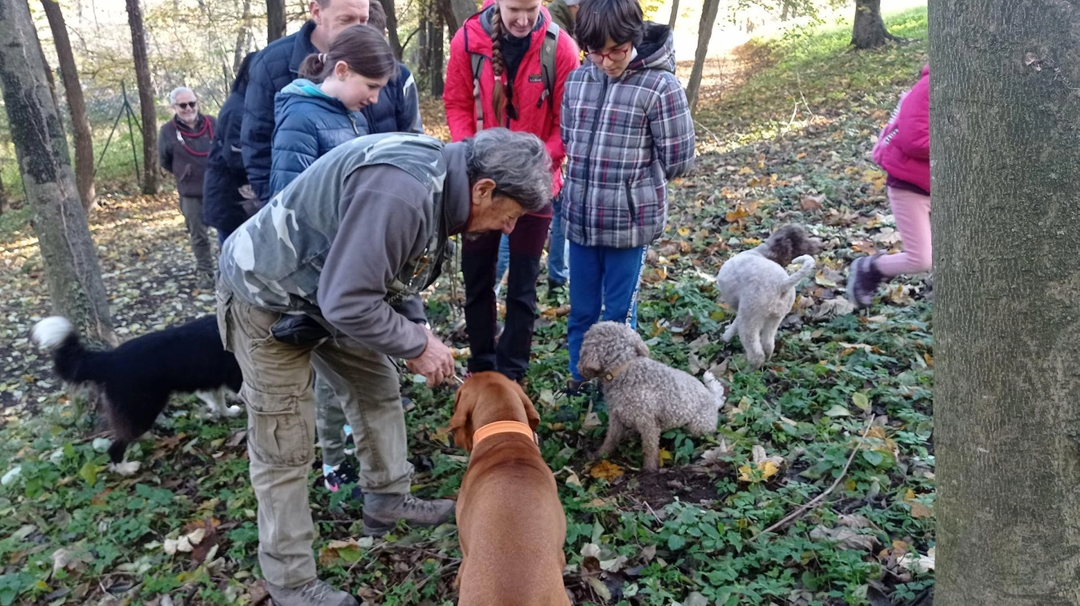 Alla ricerca di tartufi. Gradita delizia Alla ricerca di tartufi. Gradita delizia