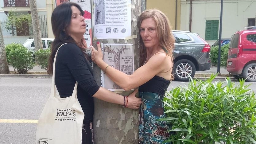 
Conta degli alberi a GALLARATE contro l'ospedale unico