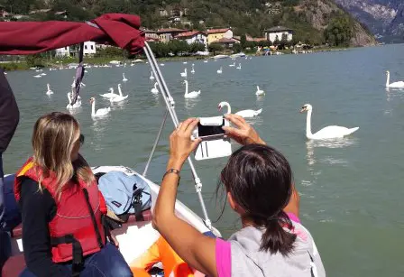 Passerella sull'Adda a Dubino, tutti i dubbi degli ambientalisti