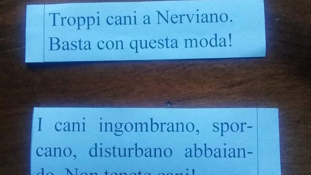 Alcuni bigliettini comparsi nella cassetta delle lettere a Nerviano Alcuni bigliettini comparsi nella cassetta delle lettere a Nerviano