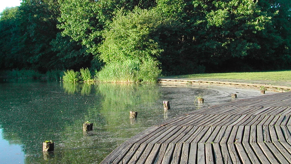 Bosco in città: il parco di via Novara Bosco in città: il parco di via Novara
